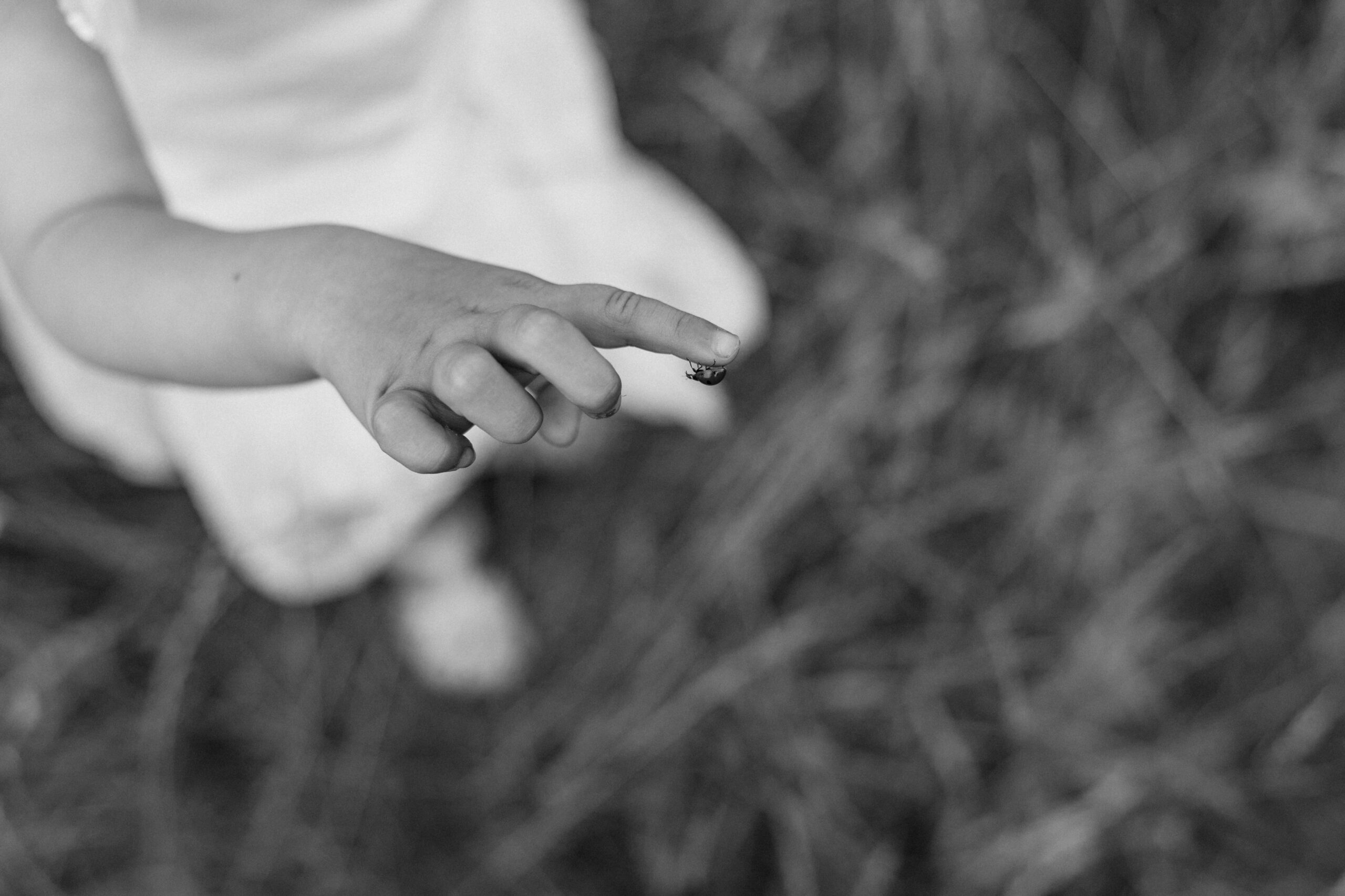 En barnehånd med en mariehøne på fingeren